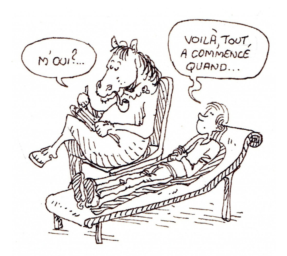 illustration comment fonctionne équithérapie