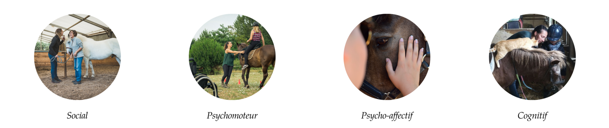 cadre multi sensoriel équithérapie