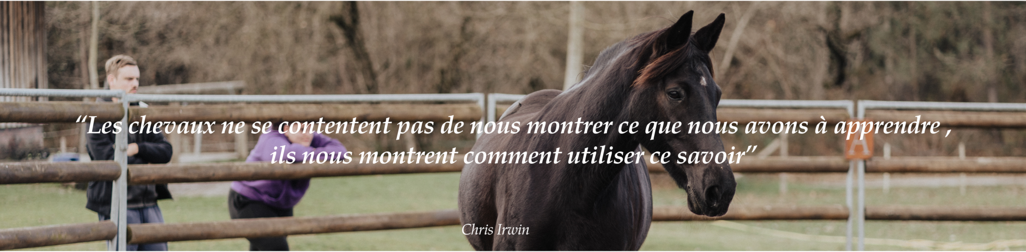 Citation Chris Irwin